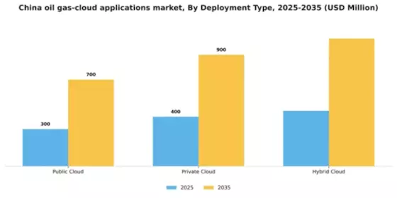 China Oil Gas Cloud Applications Market Segment Image 1