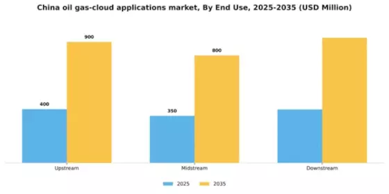 China Oil Gas Cloud Applications Market Segment Image 2
