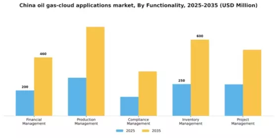 China Oil Gas Cloud Applications Market Segment Image 3