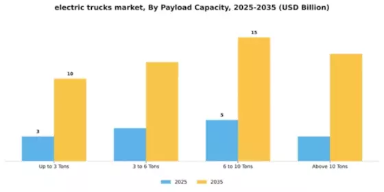 Electric Truck Market Segment Image 2