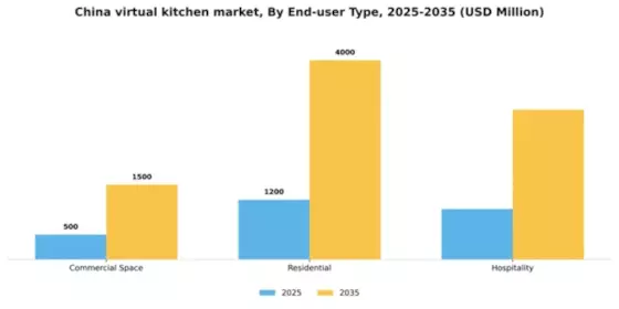 China Virtual Kitchen Market Segment Image 1