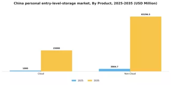 China Personal Entry Level Storage Market Segment Image 0