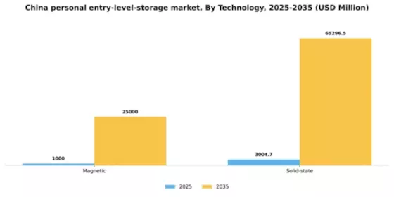 China Personal Entry Level Storage Market Segment Image 2