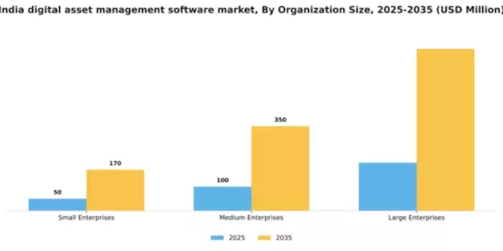 India Digital Asset Management Software Market Segment Image 3
