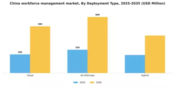 China Workforce Management Market Segment Image 0