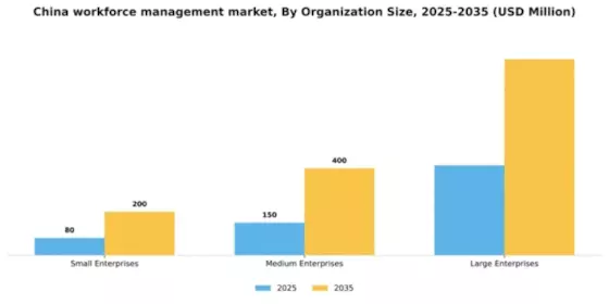 China Workforce Management Market Segment Image 2
