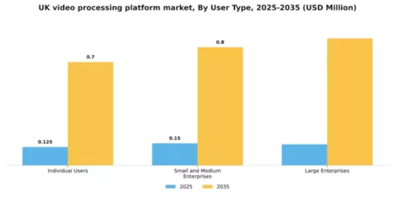 UK Video Processing Platform Market Segment Image 4