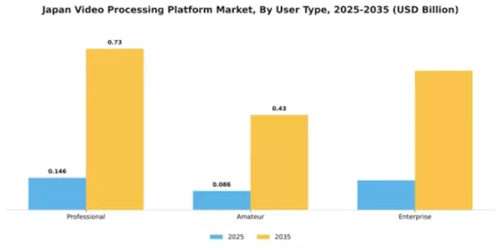 Japan Video Processing Platform Market Segment Image 4