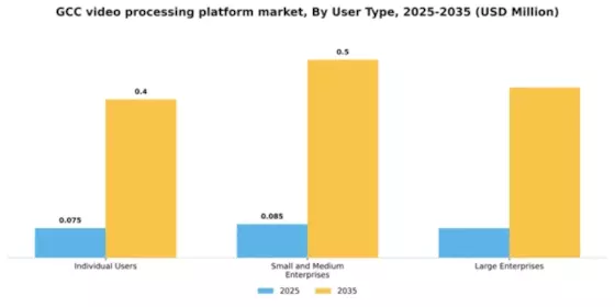 GCC Video Processing Platform Market Segment Image 4