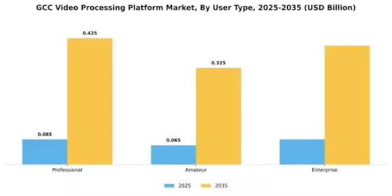 GCC Video Processing Platform Market Segment Image 4