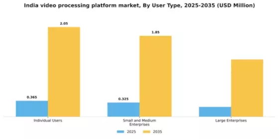 India Video Processing Platform Market Segment Image 4