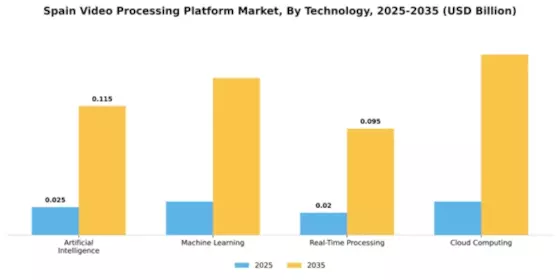 Spain Video Processing Platform Market Segment Image 3