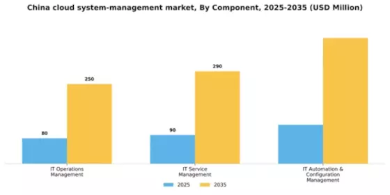 China Cloud System Management Market Segment Image 0