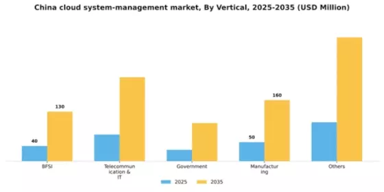 China Cloud System Management Market Segment Image 3