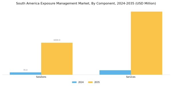South America Exposure Management Market Segment Image 0