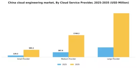 China Cloud Engineering Market Segment Image 0