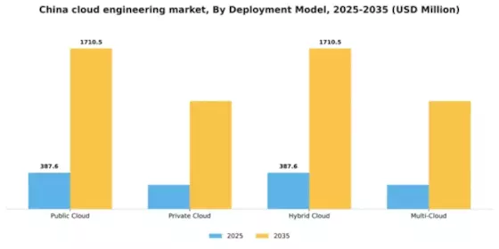 China Cloud Engineering Market Segment Image 1