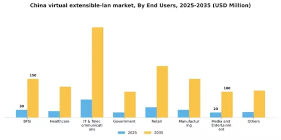 China Virtual Extensible Lan Market Segment Image 2