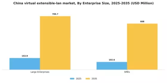 China Virtual Extensible Lan Market Segment Image 3
