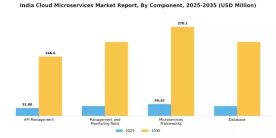 India Cloud Microservices Market Segment Image 0
