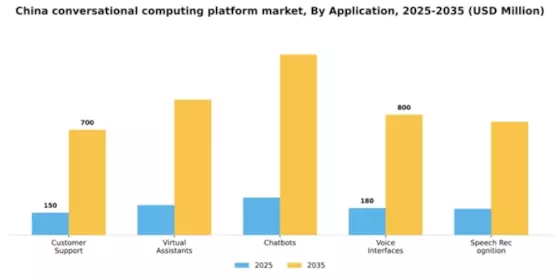 China Conversational Computing Platform Market Segment Image 0