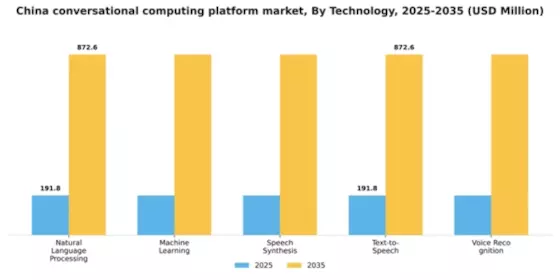 China Conversational Computing Platform Market Segment Image 3