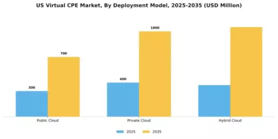 US Virtual cpe Market Segment Image 0