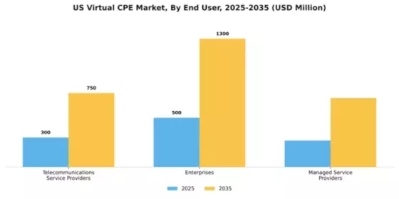 US Virtual cpe Market Segment Image 1
