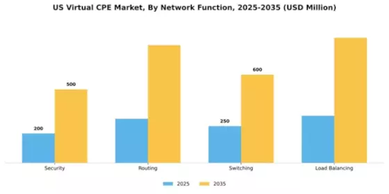 US Virtual cpe Market Segment Image 2