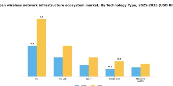 Japan Wireless Network Infrastructure Ecosystem Market Segment Image 3