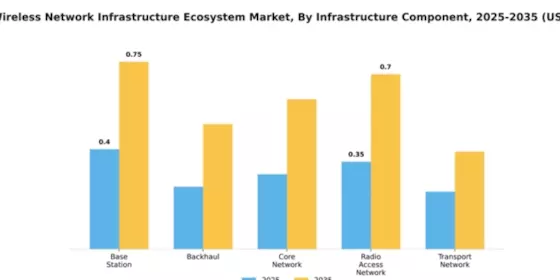 India Wireless Network Infrastructure Ecosystem Market Segment Image 1