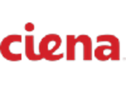 India Wireless Network Infrastructure Ecosystem Market key player