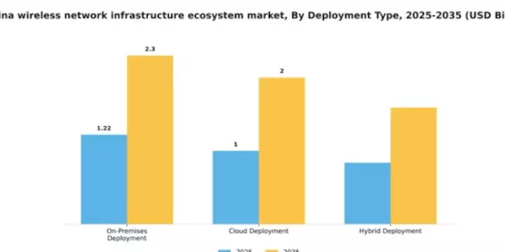 China Wireless Network Infrastructure Ecosystem Market Segment Image 0