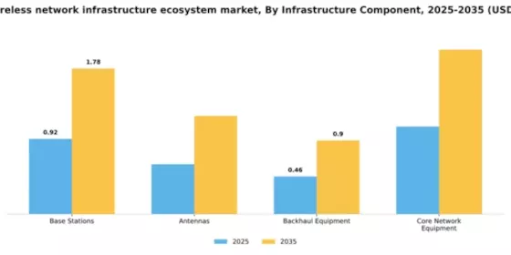 China Wireless Network Infrastructure Ecosystem Market Segment Image 2