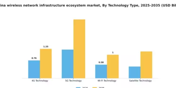 China Wireless Network Infrastructure Ecosystem Market Segment Image 3