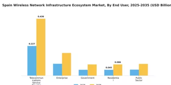 Spain Wireless Network Infrastructure Ecosystem Market Segment Image 0