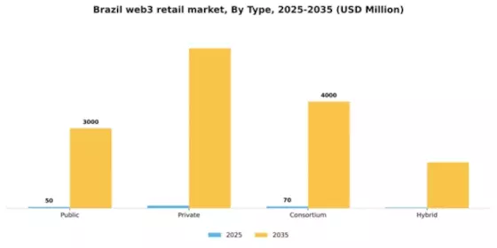 Brazil Web3 In Retail Market Segment Image 1