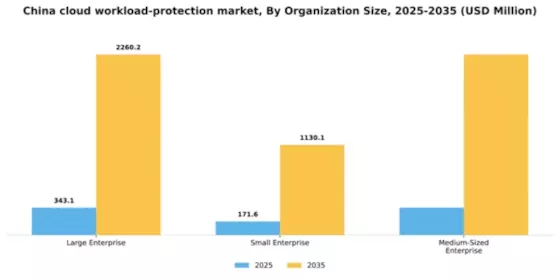 China Cloud Workload Protection Market Segment Image 2
