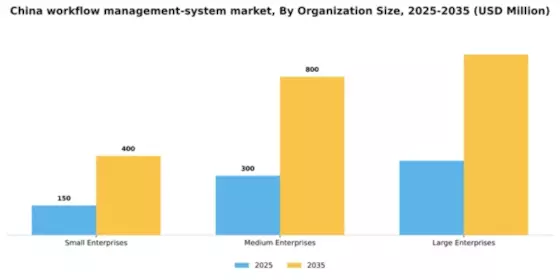 China Workflow Management System Market Segment Image 3