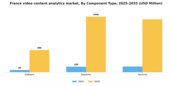France Video Content Analytics Market Segment Image 0