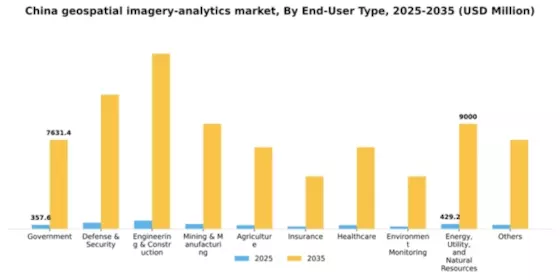 China Geospatial Imagery Analytics Market Segment Image 2