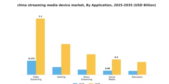China Streaming Media Device Market Segment Image 0