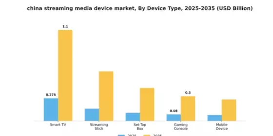 China Streaming Media Device Market Segment Image 2