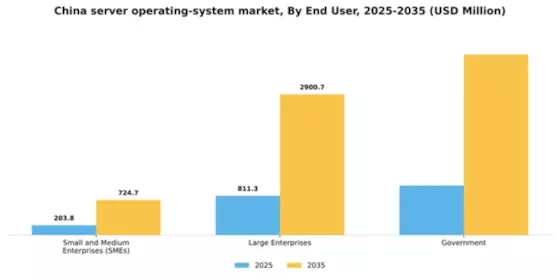 China Server Operating System Market Segment Image 1