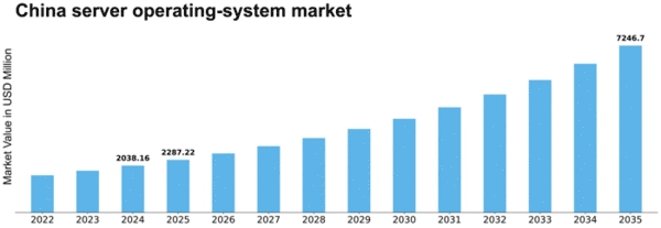 China Server Operating System Market Size