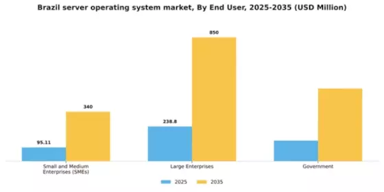 Brazil Server Operating System Market Segment Image 1