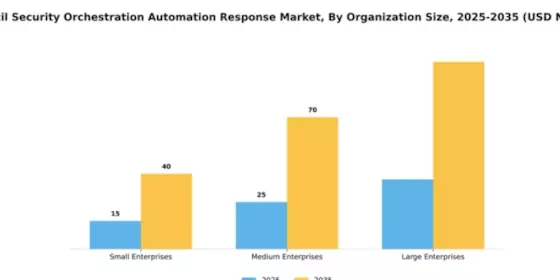 Brazil Security Orchestration Automation Response Market Segment Image 4