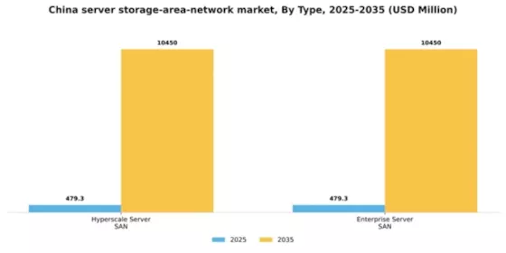 China Server Storage Area Network Market Segment Image 3