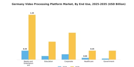 Germany Video Processing Platform Market Segment Image 2