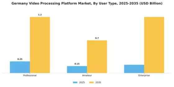 Germany Video Processing Platform Market Segment Image 4